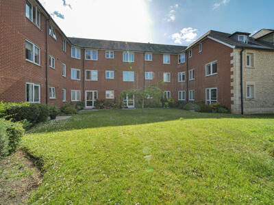 Picture 15
